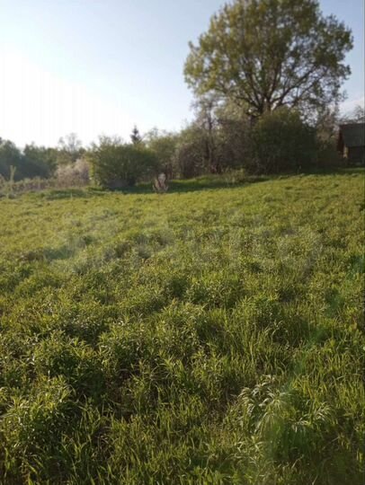 Участок 30 сот. (ИЖС)