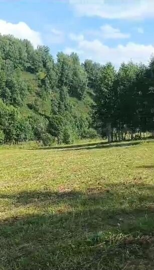 Участок 1,6 га (СНТ, ДНП)