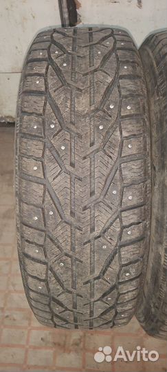Tigar Ice 215/60 R17 100T
