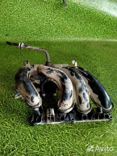 Коллектор впускной для Zotye T600 1.5л 2017г