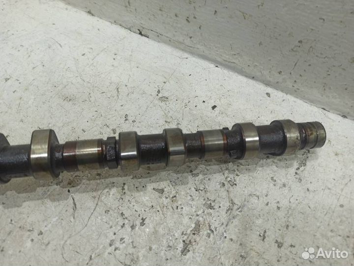 Распредвал выпускной A1190501817