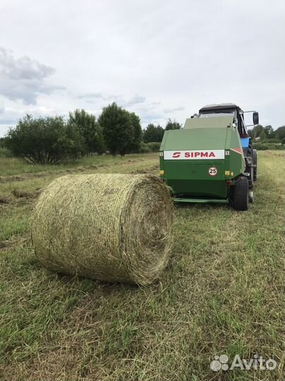 Продам сено в рулонах
