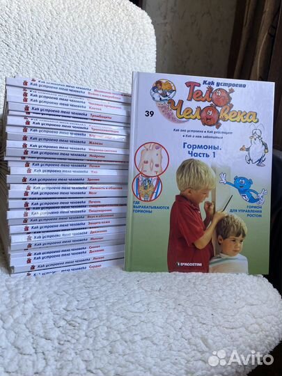 Как устроено тело человека