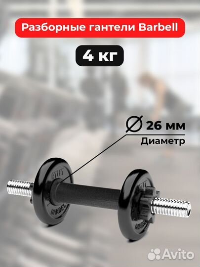 Гантель разборная MB Barbell MB-FdbM-At4 4кг