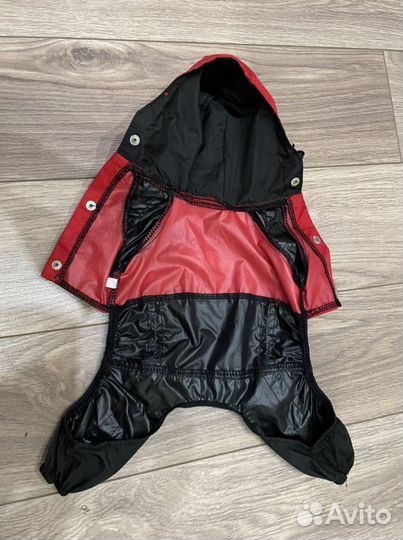 Дождевик для маленькой собаки