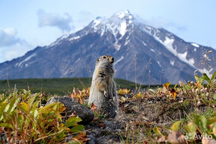 Джип-туры по Камчатке