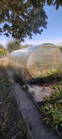 Участок 3,6 сот. (СНТ, ДНП)