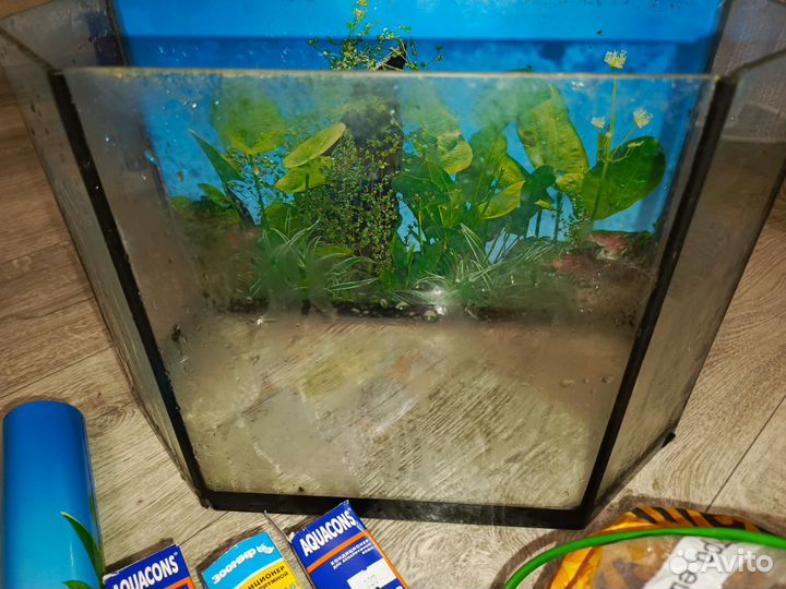 Аквариум