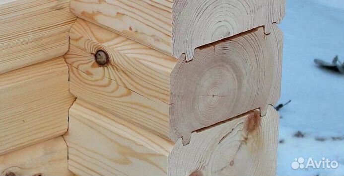 Профбрус из зимнего леса