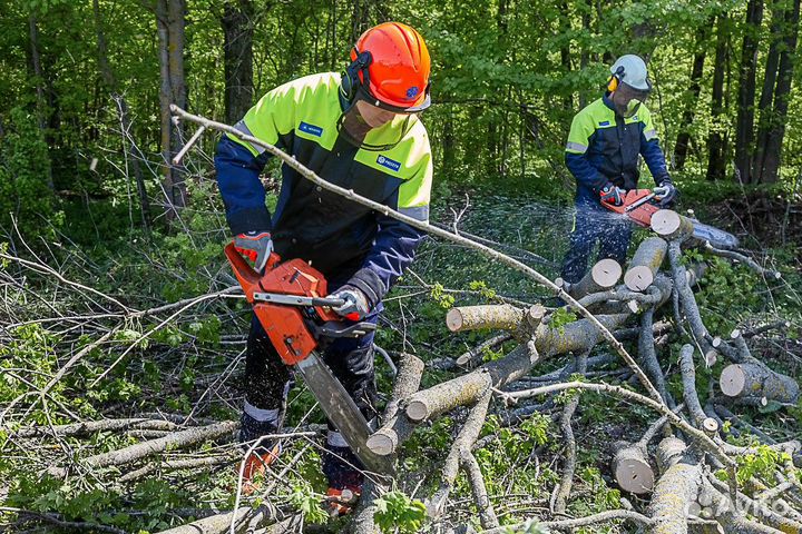 Бригада на лесозаготовку со своим инструментом