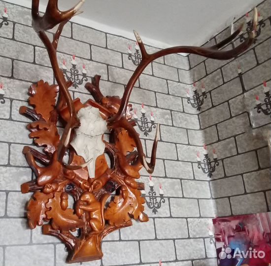 Рога дальневосточный олень