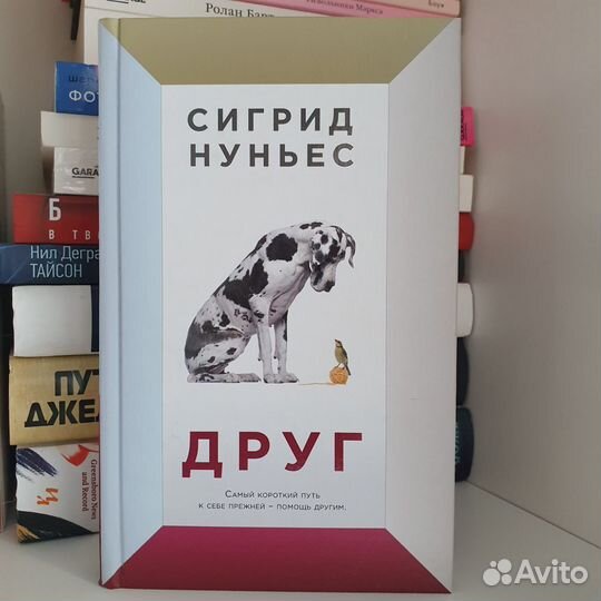 Друг. Нуньес Сигрид