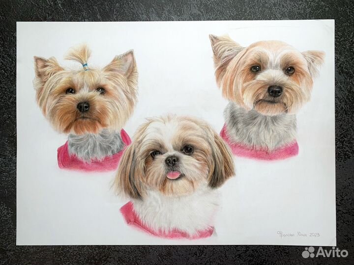 Портрет собаки или кошки на заказ