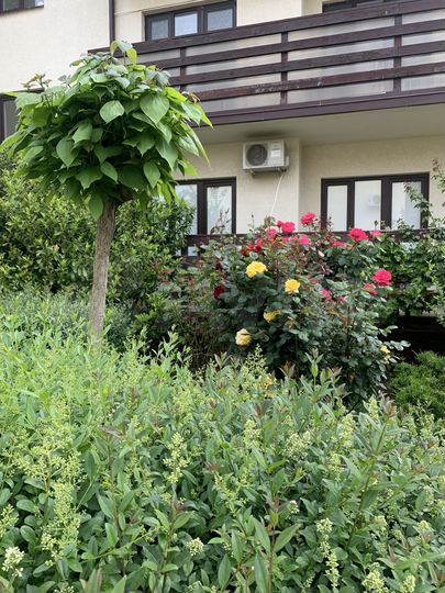 2-к. квартира, 60 м², 2/3 эт.