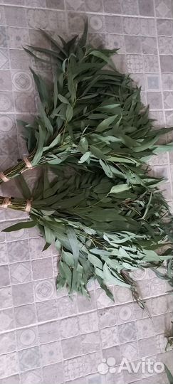 Эвкалиптовые веники