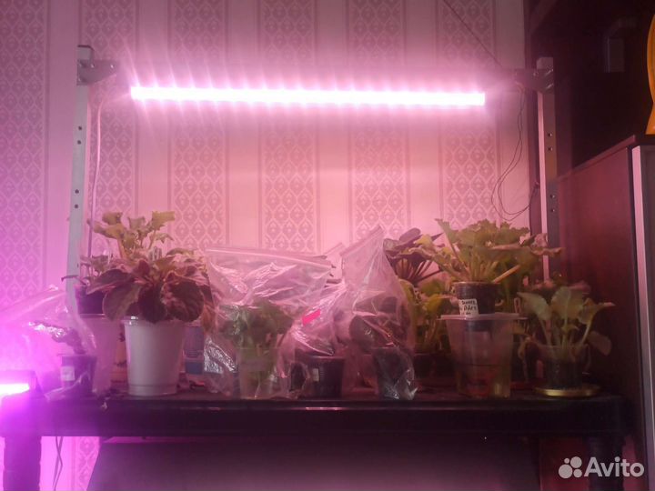 Стеллаж с фитолампами