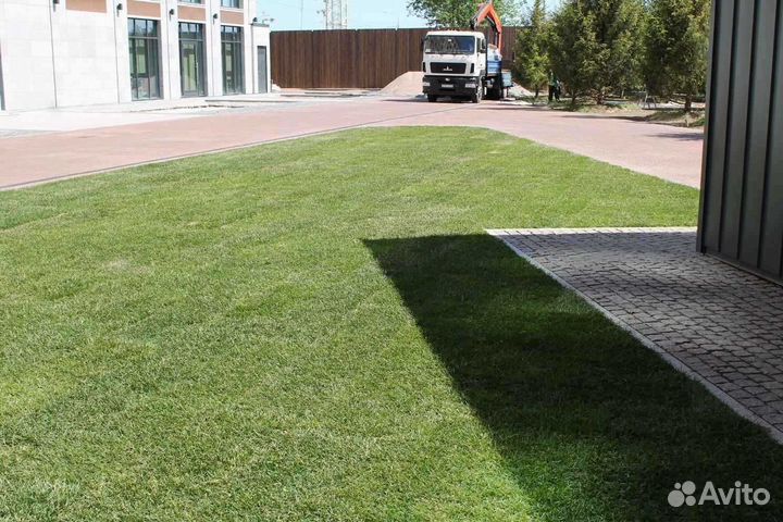 Укладка и продажа рулонного газона