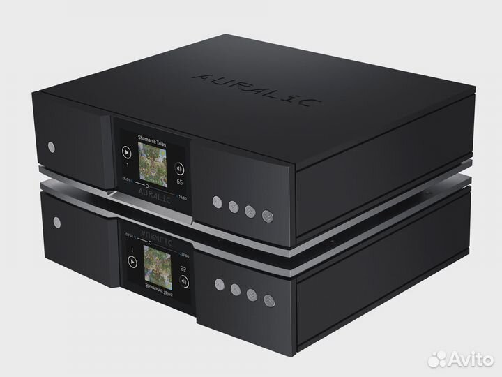 Сетевой транспорт Auralic Aries G1.1