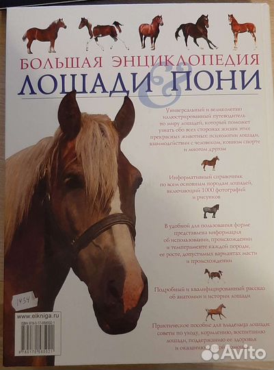 Большая энциклопедия лошади пони