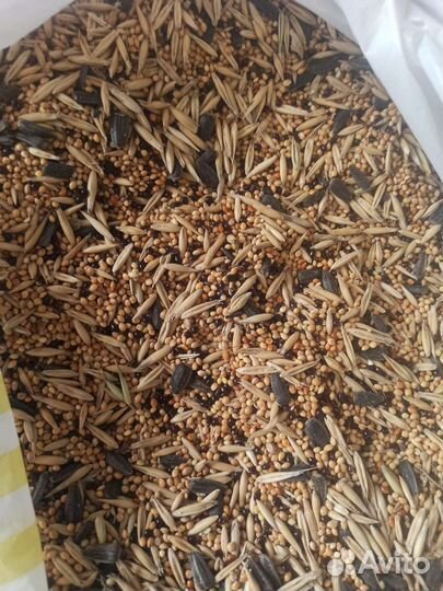 Корм для волнистых попугаев