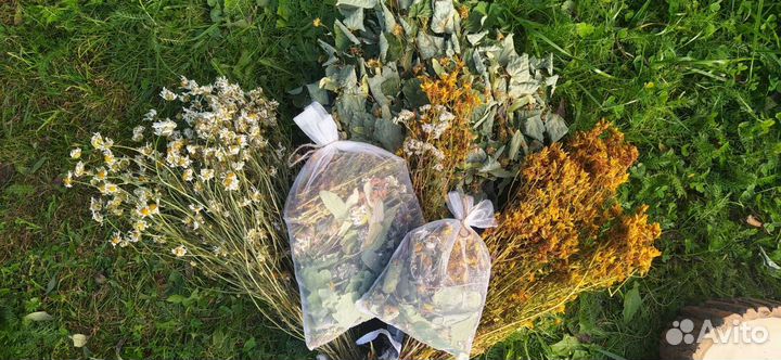 Запарка для бани