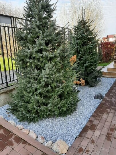 Дом 230 м² на участке 5 сот.