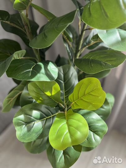 Искусственное декоративное дерево фикус Лирата