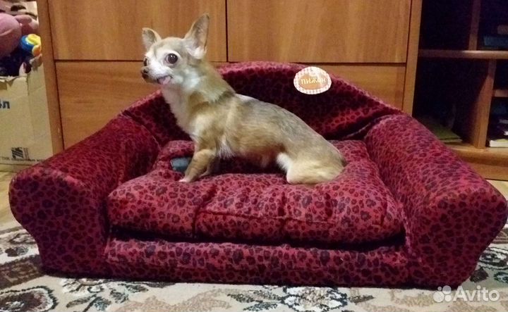 Лежанки для животных