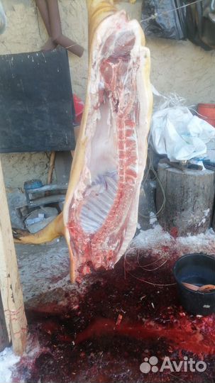 Забойщик скота