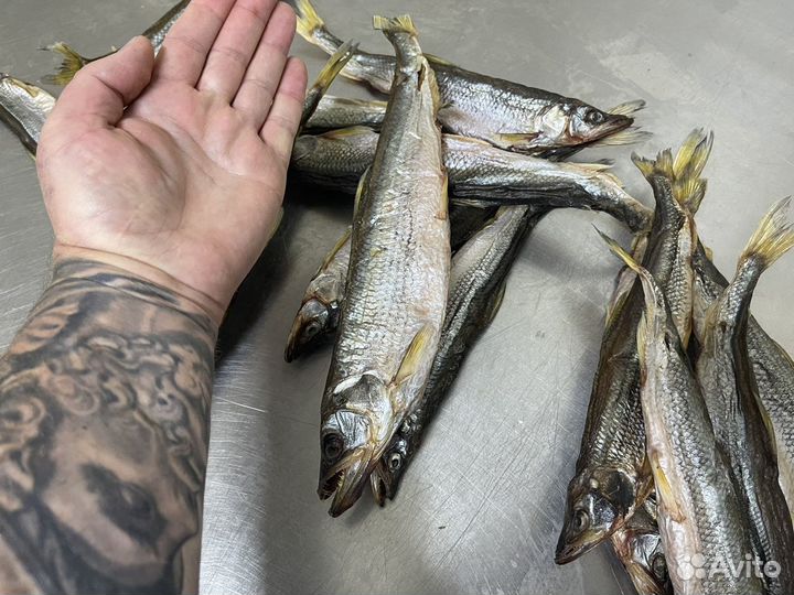 Корюшка вяленая с Сахалина крупная с икрой