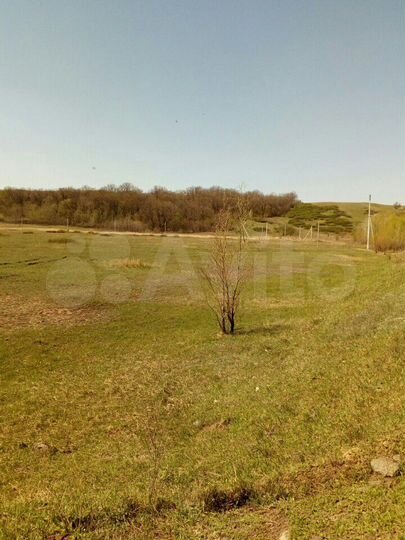 Участок 15 сот. (ИЖС)