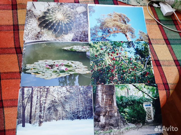 Фотографии для оформления