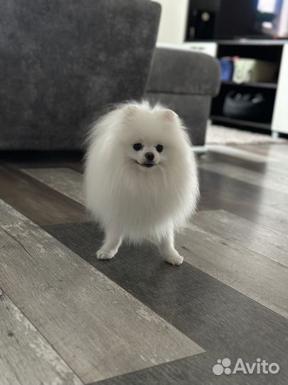 Вязка