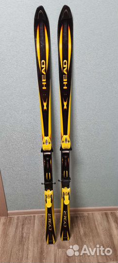 Горные лыжи