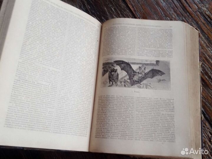 Полная энциклопедия Русского сельского хозяйства