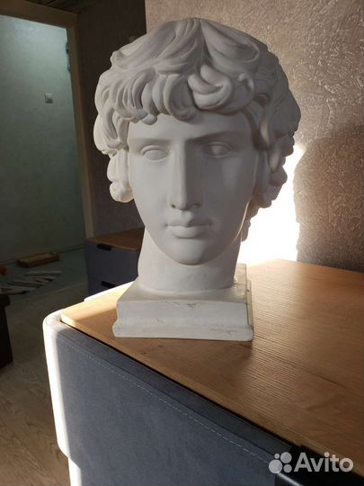 Бюст гипсовая голова Антиноя