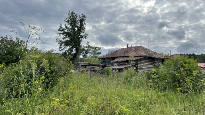 Дом 45 м² на участке 30 сот.