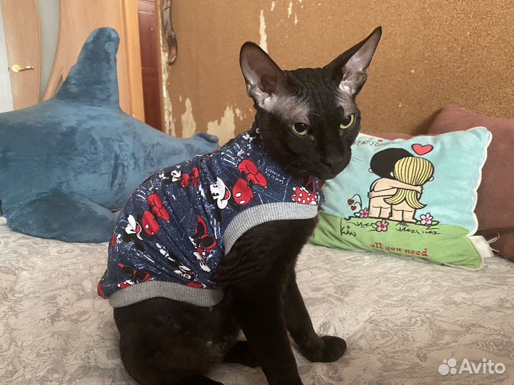 Толстовка для животных