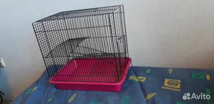 Клетка, крысята, корм, поилка, кормушка, домик