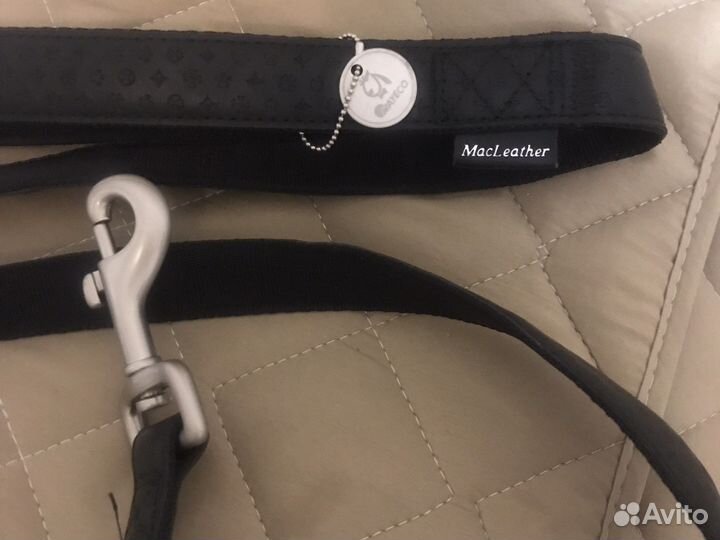 Ошейник и поводок для собак