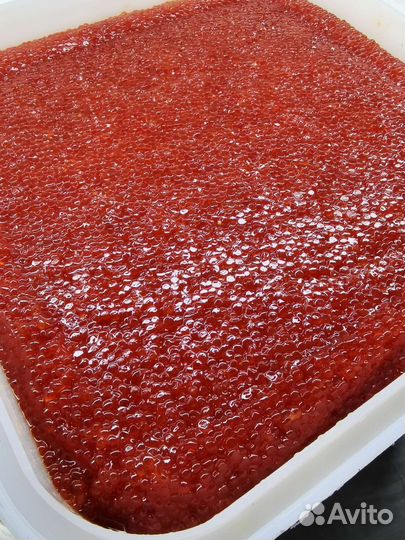 Икра красная нерки, горбуши, кеты, кижуча 2023