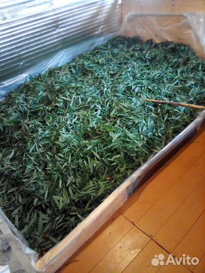 Иван чай Некрасовский