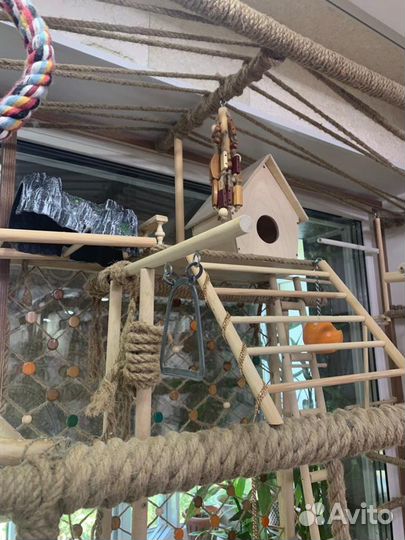 Стенд для попугая