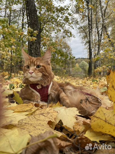 Мейкун вязка