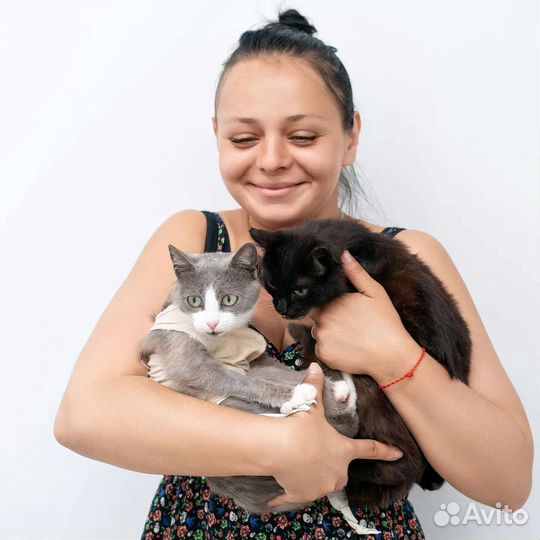 Зеленоглазый дракончик ищет семью