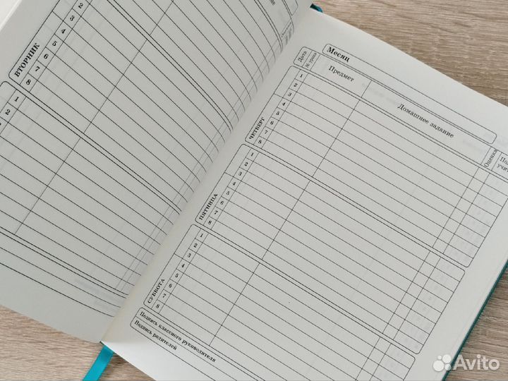 Дневник школьный