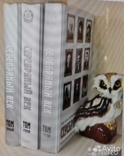 Фокин П., Князева С. Серебрянный век. Портретная г