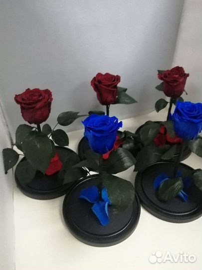 Роза в колбе