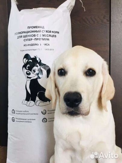 Сухой корм Променад супер-премиум для щенков