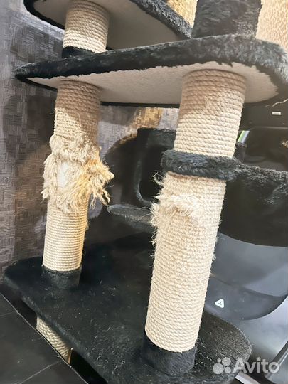 Когтеточка, лазилка, дом для кошек